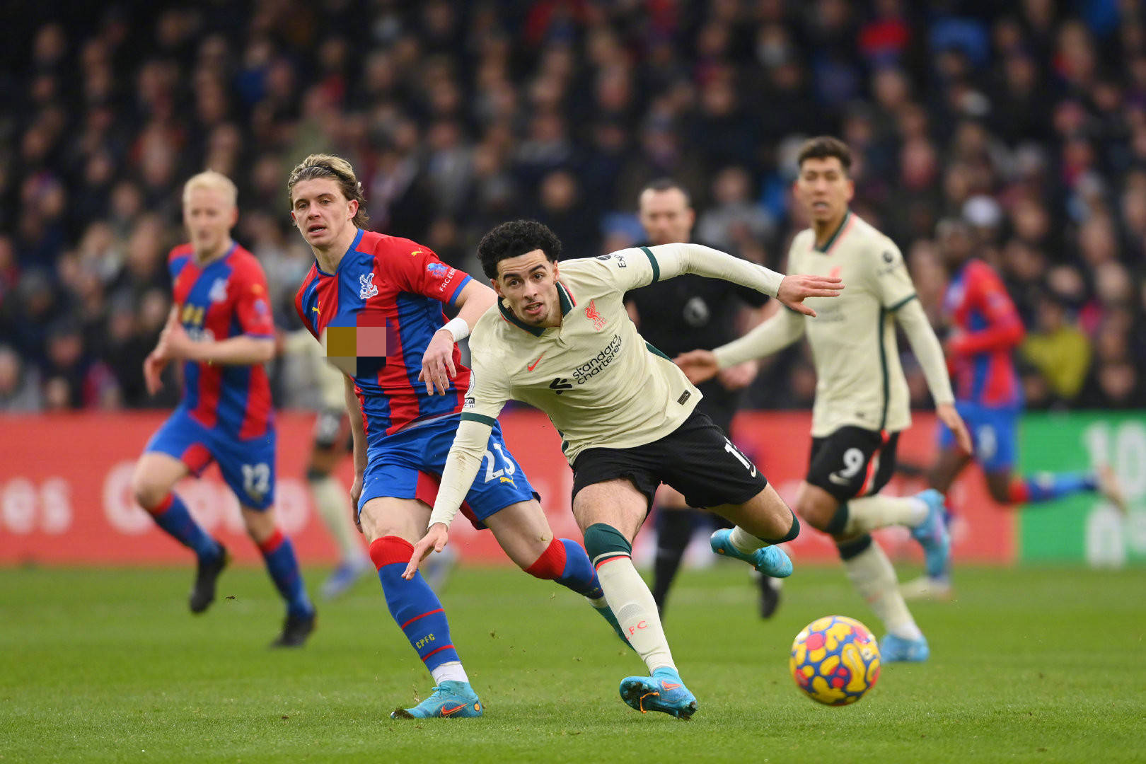 我保护能力 我保护能力