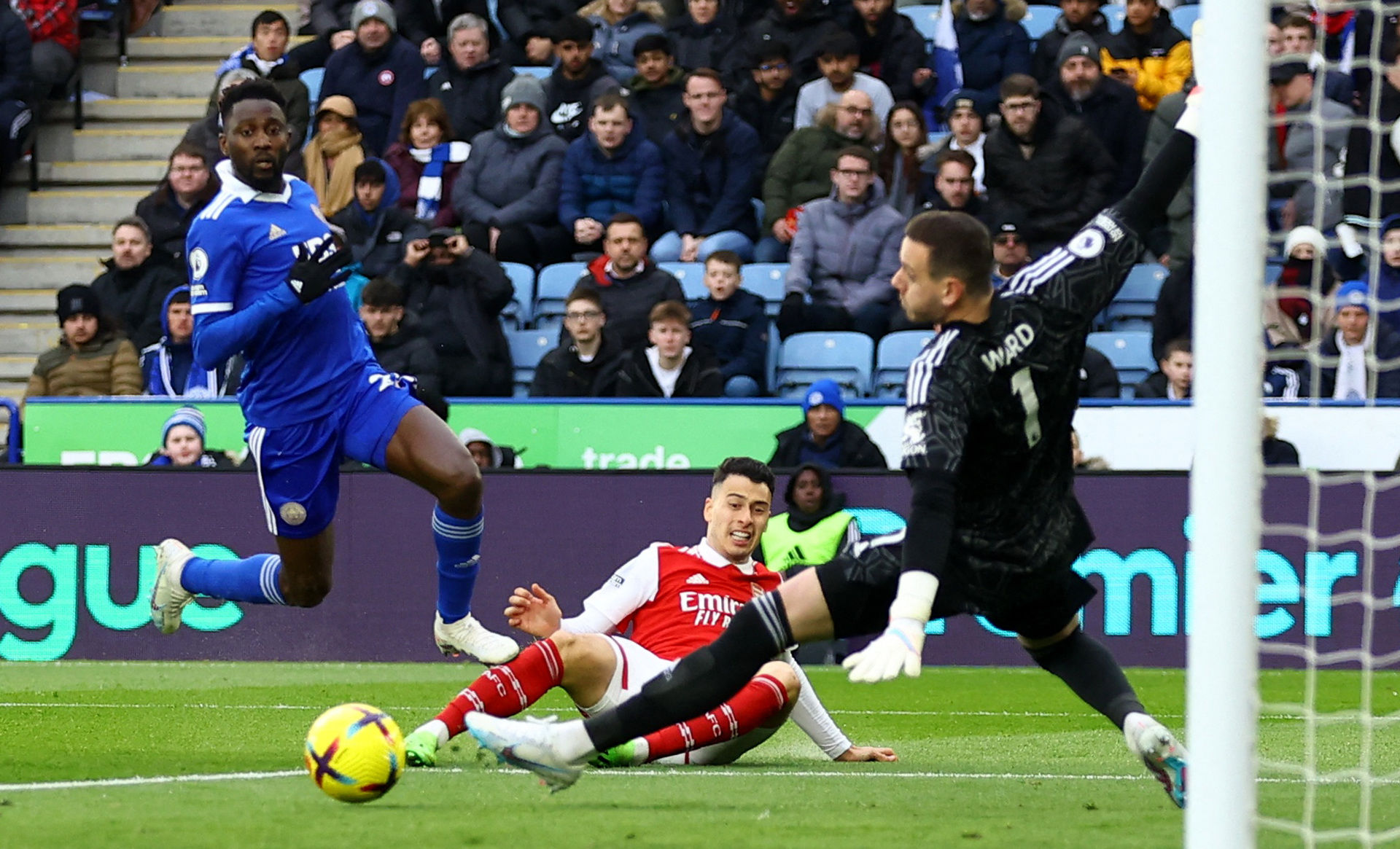 不仅是雄鹿 不仅是雄鹿